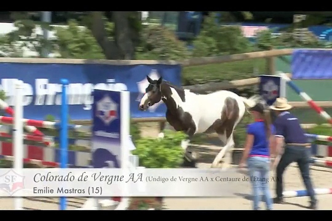 Championnat des Etalons SF 2 & 3 ans - Participants 2015 - Episode 5/6