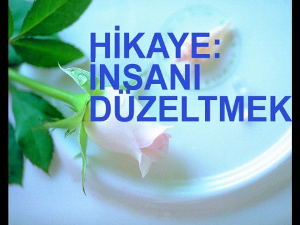 Cahil insanı eğri bitmiş ağacı düzeltmek kadar zordur.