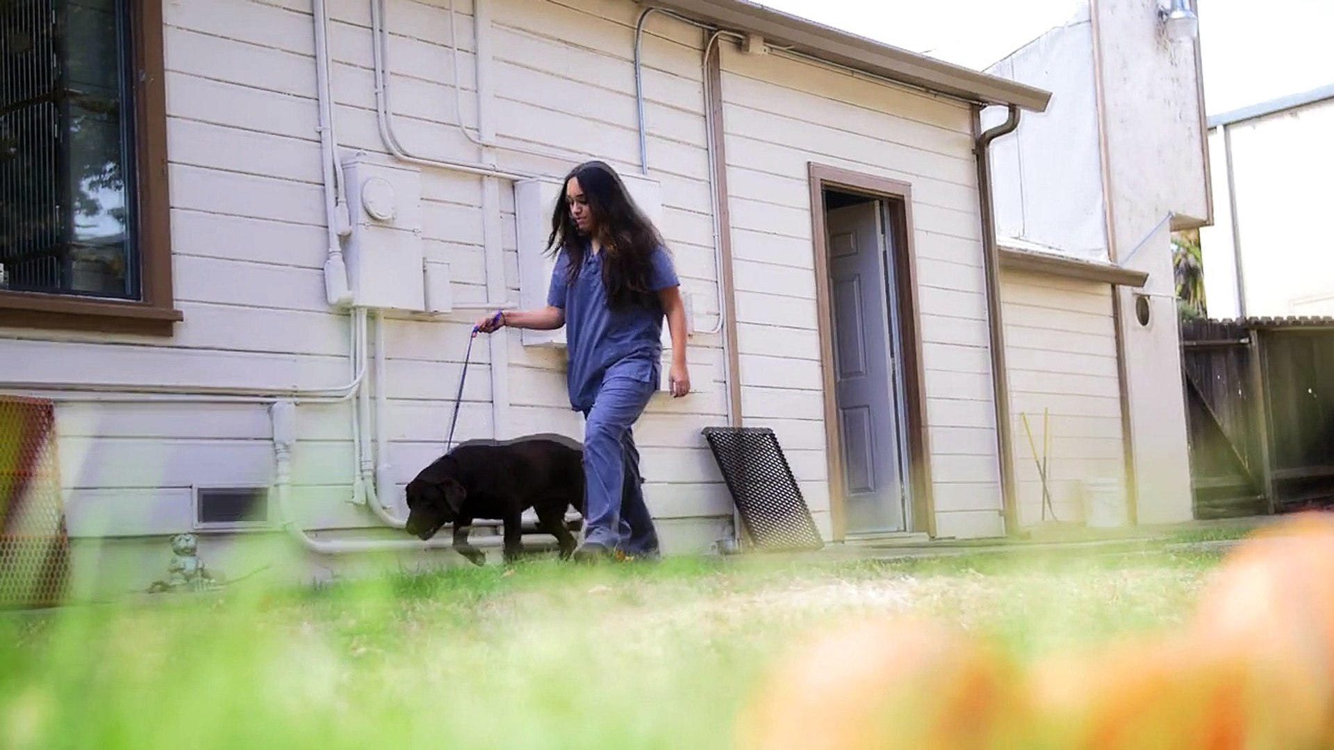 ⁣Welcome to Bear Creek Veterinary Hospital