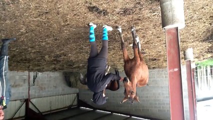 Fanfan La Tulipe Kool