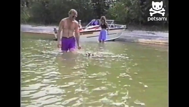 Olympic pup doggy paddles in the air