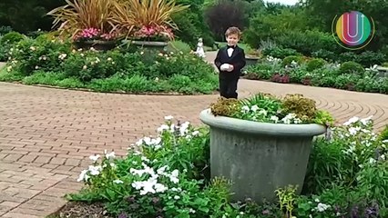 Crianças causam em casamentos