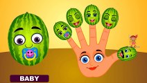 Finger Family Fruits Finger Family Watermelon Finger Family Nursery Rhymes for Children an