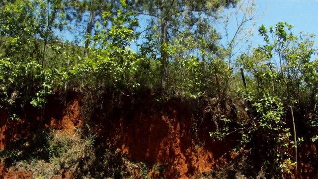 Dia dos professores, parabéns, homenagem de MTB pedal rural, Marcelo Ambrogi, 2015