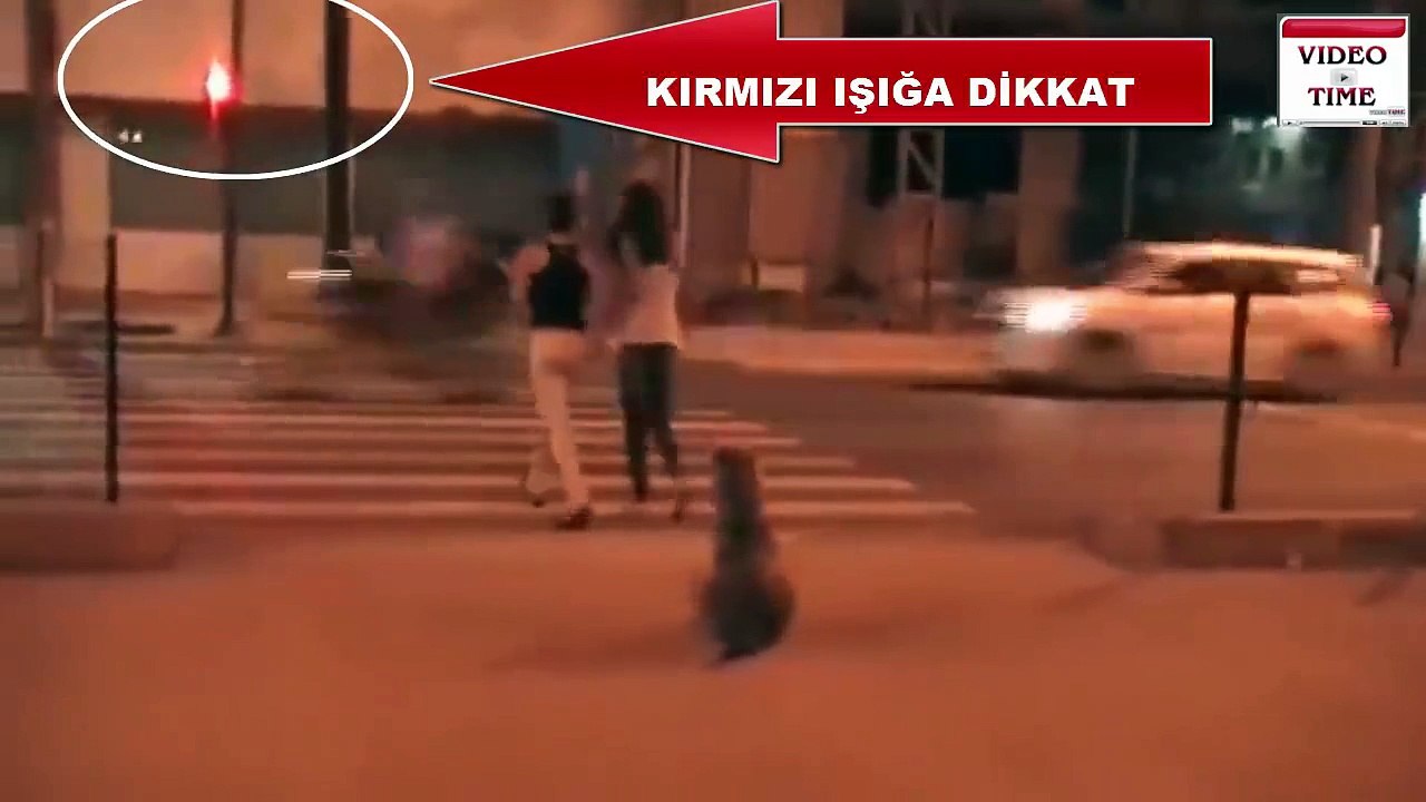 fun funy clip