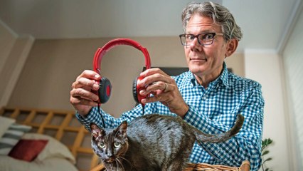 LISTEN: This music is scientifically proved to appeal to cats