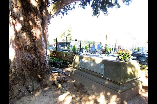 Stars des cimetières 2 - George Sand