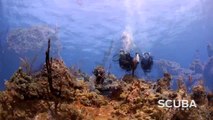 Blackbeard Cruises -  Cave Rock - Scuba Diving