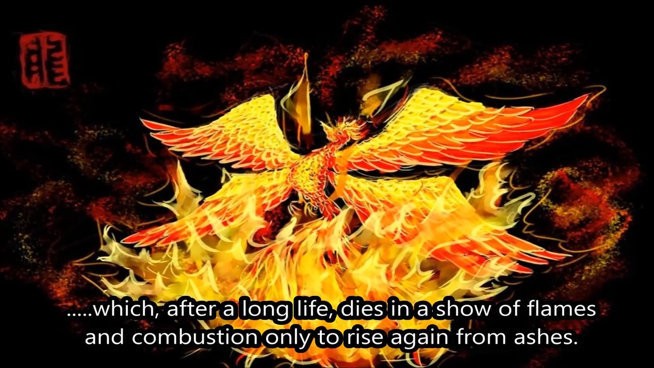 Top 10 Mythical Creatures that Actually Existed