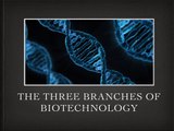 The Three Branches of Biotechnology