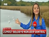 Enerji bakanının Nükleer santral açıklaması Trakyanın cenneti İğneliada'ya ateş düşürdü