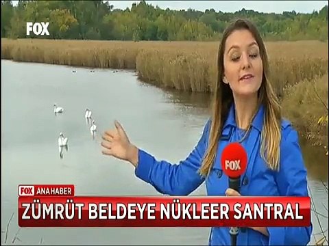 Enerji bakanının Nükleer santral açıklaması Trakyanın cenneti İğneliada'ya ateş düşürdü