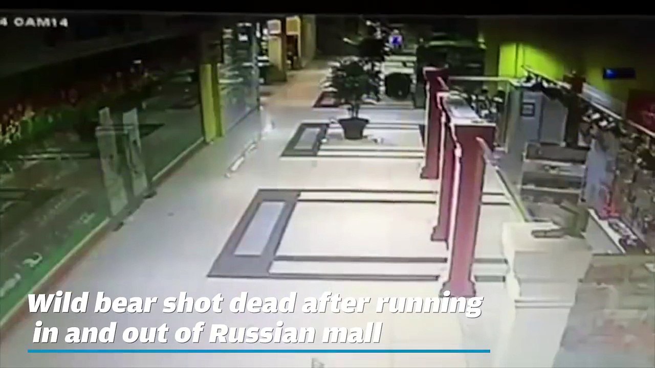 A wild bear was shot dead after it went running in and out of a shopping mall in Russia's Far East on Wednesday.