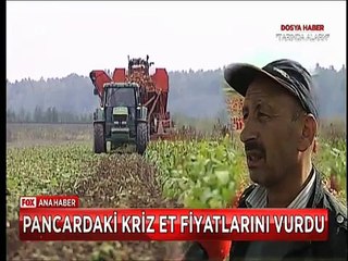 Şeker pancarındaki kriz et fiyatlarını nasıl arttırdı