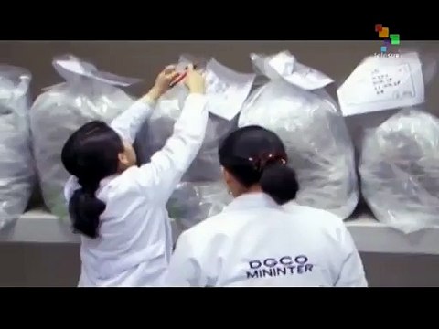 Peruvian Authorities Destroy 2 Tons of Drugs