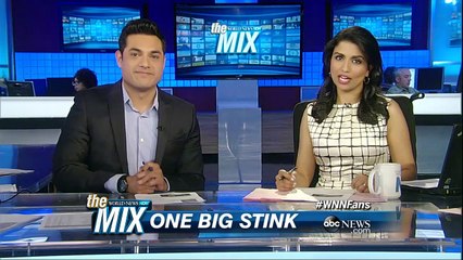 Santa Lookalike Becomes the Democratic Debate’s Viral Sensation | ABC News