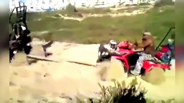 Acontecimentos-Incriveis-Curiosidades-e-Flagras-Engracados-Videos-Engracados-Com-Animais-2014