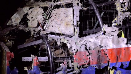 MH17 Air Crash Investigation: What Caused Disaster?