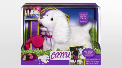 Credo negli esseri cani (parodia Mengoni)