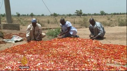 Businesses concerned by ban on 41 imports in Nigeria