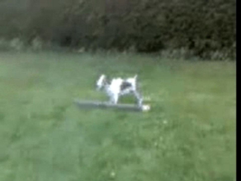 Speedylefou