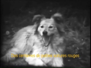 Fanny Bouffort présentation rapide