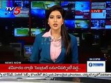 Cow Feeds Milk To Piglets | Krishna Park | Srikakulam | TV5 News