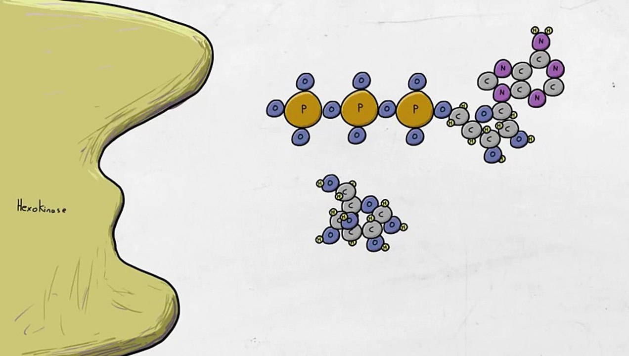 What is life ?Are viruses alive?