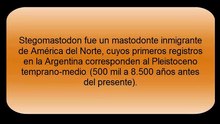 Stegomastodon