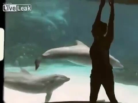 Девушке удалось рассмешить дельфина!
