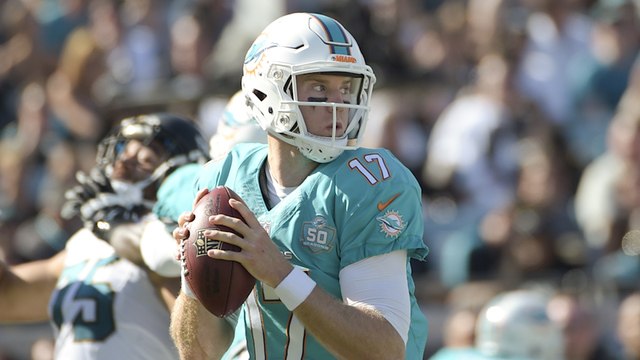 Habib: How Different Will Dolphins Look?