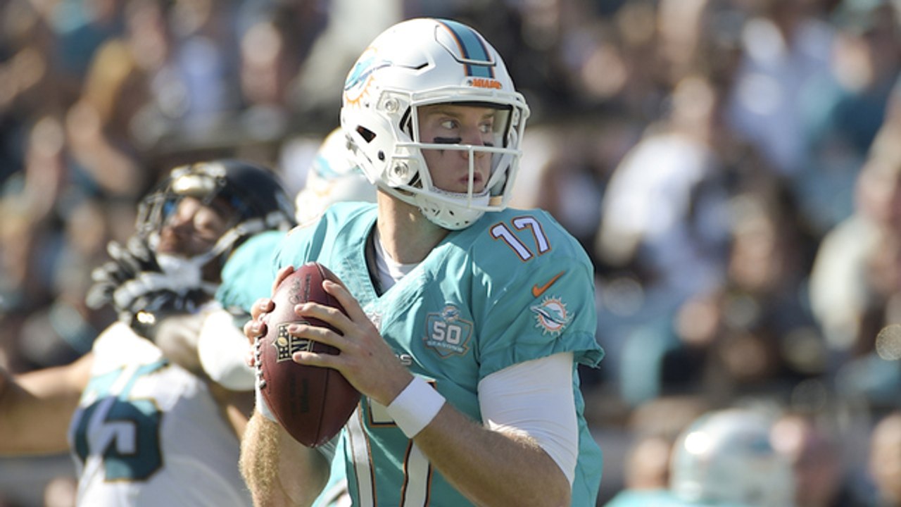 Habib: How Different Will Dolphins Look?