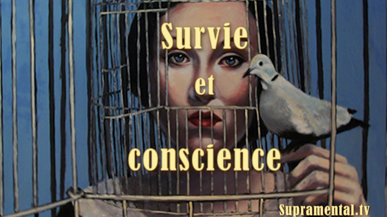 GHN-Survie et conscience -1-07-2015