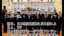 【AIIB崩壊か】韓国人「TPP交渉が大筋合意！日本・アメリカ主導の��