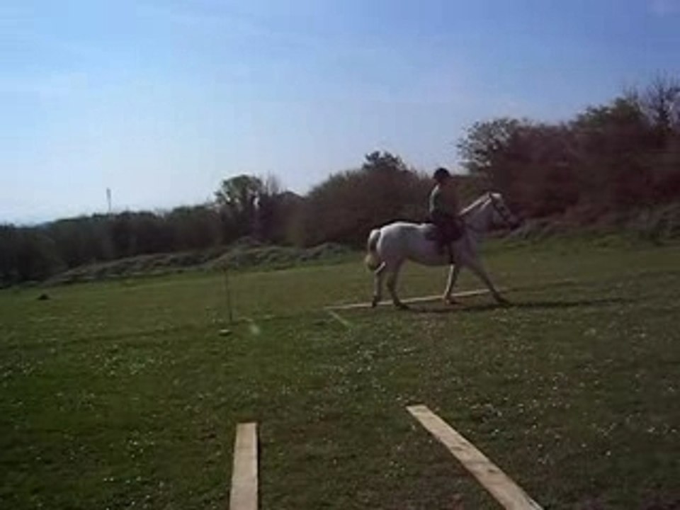 Fiona au galop