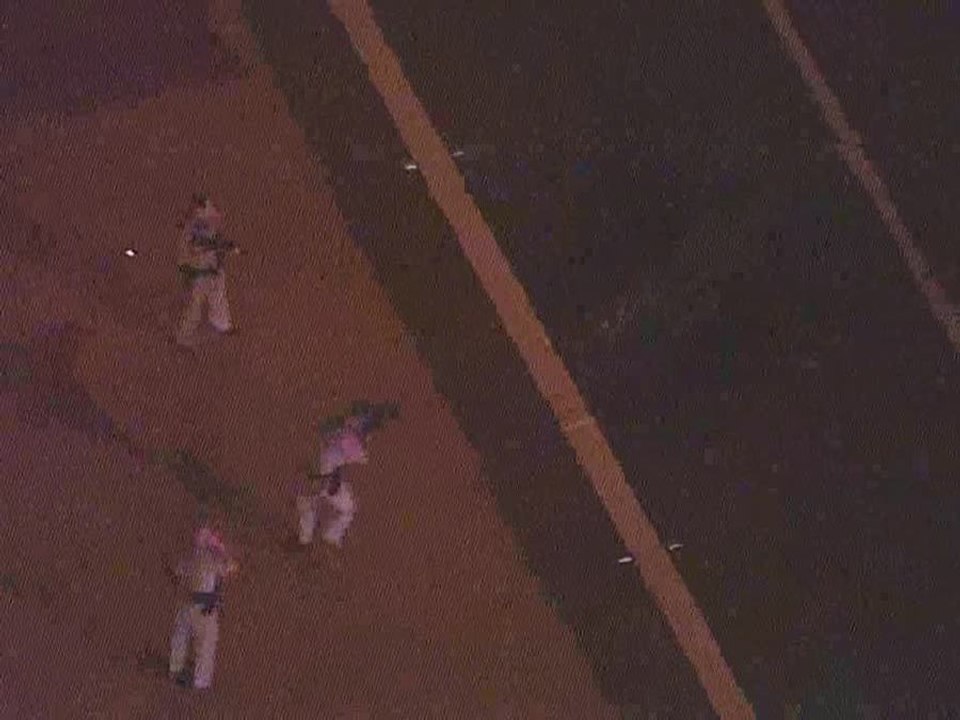 Cow concerns: DPS taking heat for shooting