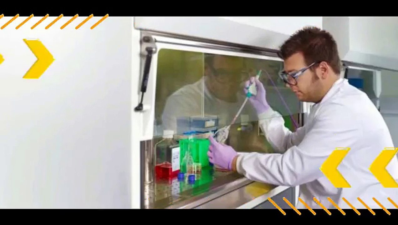 Scientists may have accidentally found cure for cancer using malaria