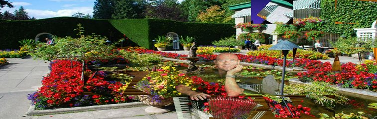 Gianni Mirizzi - Tango Brivido