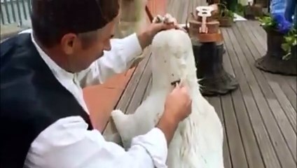 Borracho transporte de vinho na madeira