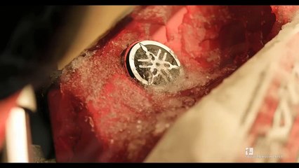 Yamaha Vixion "Leopard" 30s