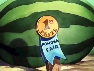 donald duck daffy duck donald duck hd