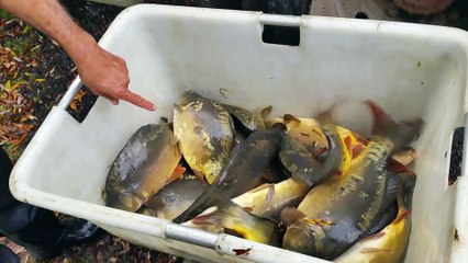 DEVERSEMENT AU 2 ILOTIERS VIDEO 3