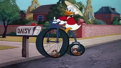 chip and dale baby clothes chip and dale hindi