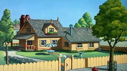 chip and dale dvd chip i dale and donald