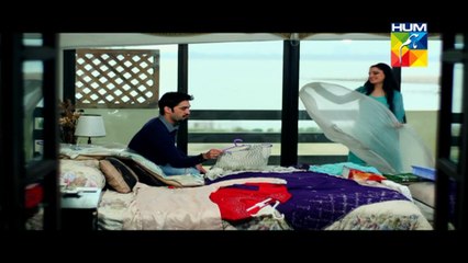 Mohabbat ab nahi hogi OST Hum TV Drama