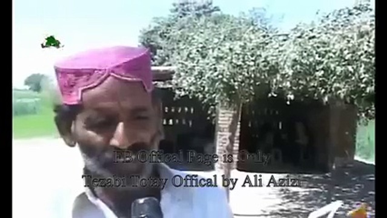 Mango Report Funny Tezabi Totay