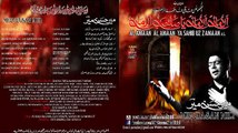 Ab Mujha Koi Sakina a.s New Noha By Mir Hassan Mir 2016