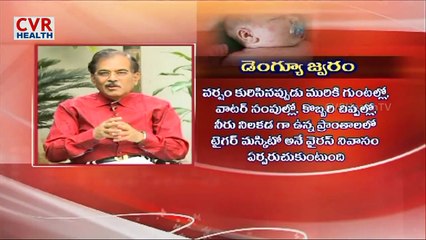 Typhoid Fever:Symptoms, Causes and Treatment | Doctor talk | CVR Health