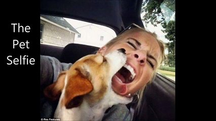 25 selfie che ti faranno dubitare dell'intelligenza umana