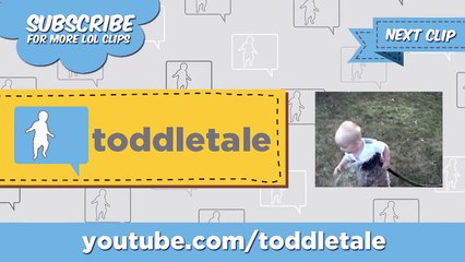 Baby gets trampled by dogs